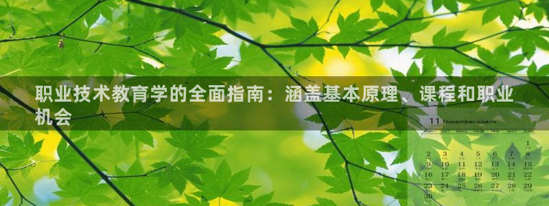 九游会老哥俱乐部|职业技术教育学的全面指南：涵盖基本原理、课程和职业
机会